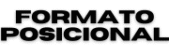 Formato Posicional